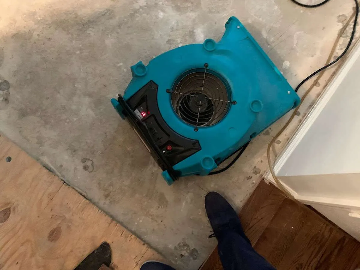Air mover drying subfloor during Leak Detection & Repair in Justice